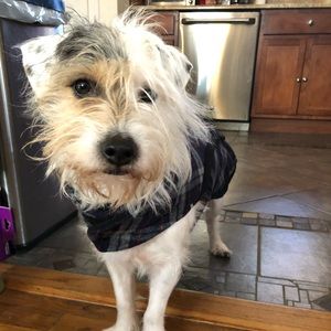 Meet your Posher, Adrienne